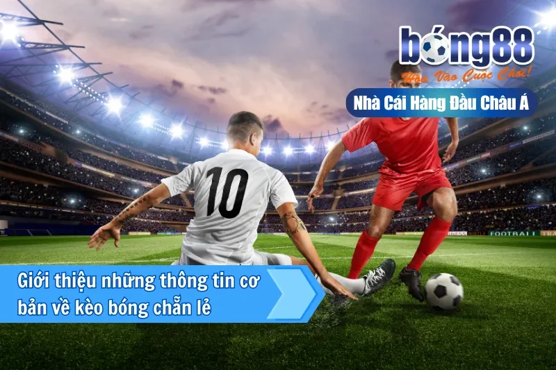 Kèo Chẵn Lẻ Là Gì? Thống Kê Phân Bố & Cách Chơi Đúng Vai Trò 2026 - Wixon Kèo Chẵn Lẻ Là Gì? Thống Kê Phân Bố & Cách Chơi Đúng Vai Trò 2026 - Wixon