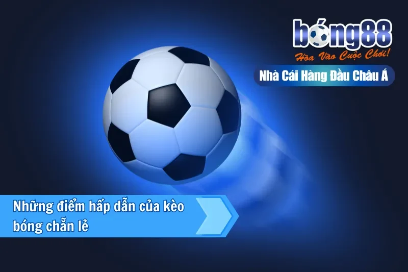 Kèo Chẵn Lẻ Là Gì? Thống Kê Phân Bố & Cách Chơi Đúng Vai Trò 2026 - Wixon Kèo Chẵn Lẻ Là Gì? Thống Kê Phân Bố & Cách Chơi Đúng Vai Trò 2026 - Wixon