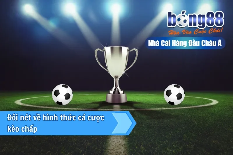 Kèo Chấp Là Gì? Giải Nghĩa Từng Mức Từ 0 Đến 2 Trái & Cách Chọn Cửa - Wixon