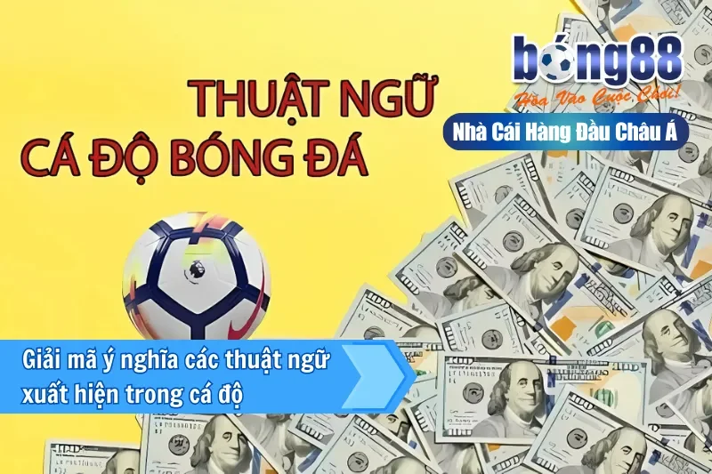 Kèo Chấp Là Gì? Giải Nghĩa Từng Mức Từ 0 Đến 2 Trái & Cách Chọn Cửa - Wixon