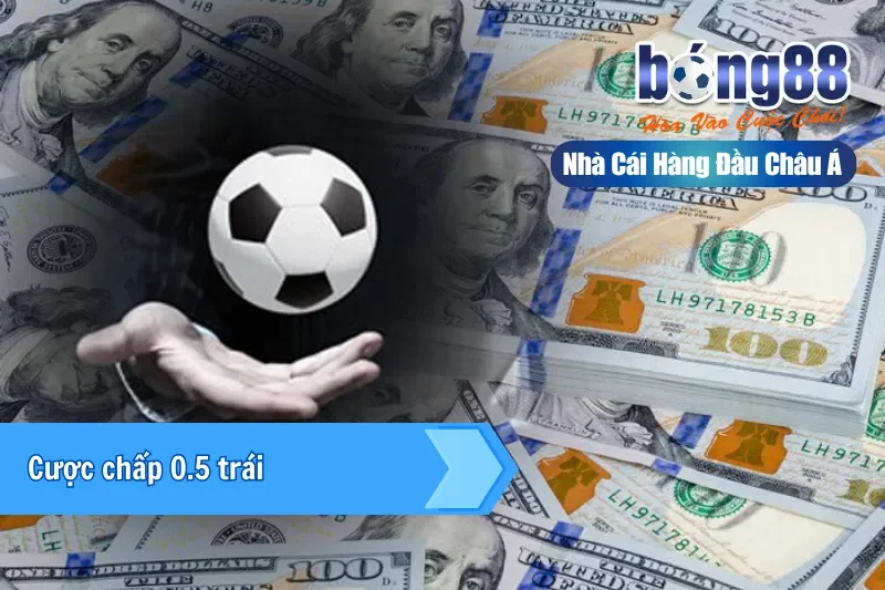 Kèo Chấp Là Gì? Giải Nghĩa Từng Mức Từ 0 Đến 2 Trái & Cách Chọn Cửa - Wixon