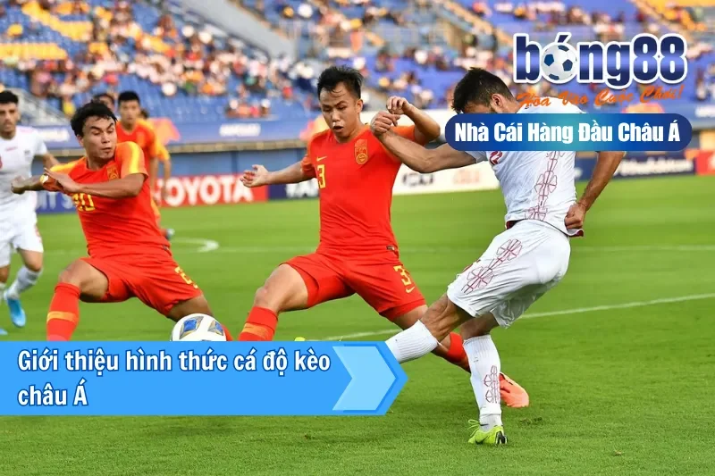 Kèo Châu Á Là Gì? Cách Đọc, Bảng Tính Tiền & Kinh Nghiệm 2026 - Wixon Kèo Châu Á Là Gì? Cách Đọc, Bảng Tính Tiền & Kinh Nghiệm 2026 - Wixon