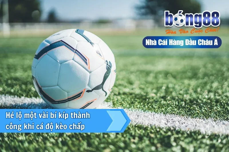 Kèo Châu Á Là Gì? Cách Đọc, Bảng Tính Tiền & Kinh Nghiệm 2026 - Wixon Kèo Châu Á Là Gì? Cách Đọc, Bảng Tính Tiền & Kinh Nghiệm 2026 - Wixon
