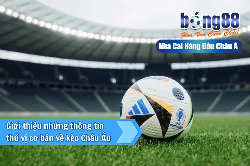Kèo Châu Âu (1X2) Là Gì? Cách Đọc Tỷ Lệ & Chiến Thuật Khai Thác Cửa Hòa - Wixon Kèo Châu Âu (1X2) Là Gì? Cách Đọc Tỷ Lệ & Chiến Thuật Khai Thác Cửa Hòa - Wixon