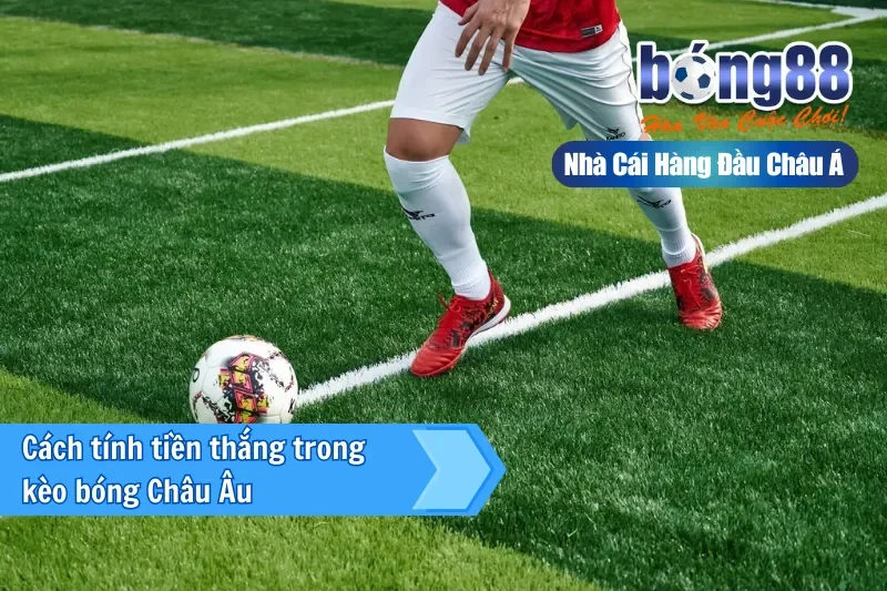 Kèo Châu Âu (1X2) Là Gì? Cách Đọc Tỷ Lệ & Chiến Thuật Khai Thác Cửa Hòa - Wixon Kèo Châu Âu (1X2) Là Gì? Cách Đọc Tỷ Lệ & Chiến Thuật Khai Thác Cửa Hòa - Wixon