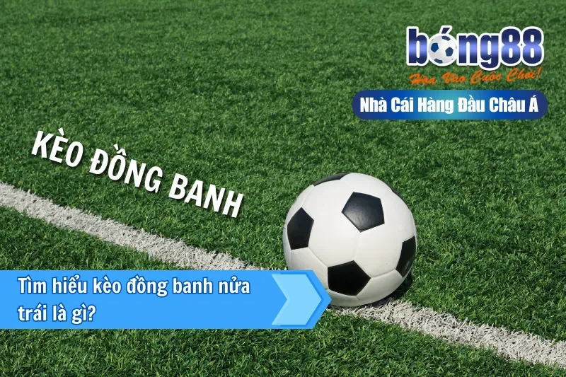 Kèo Đồng Banh Nửa Trái (0.25) Là Gì? Cơ Chế Chia Đôi & Bảng Kịch Bản - Wixon