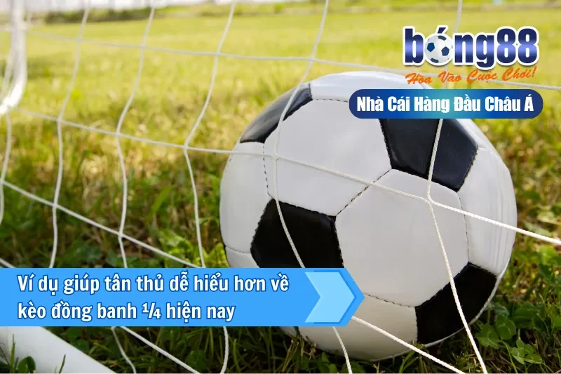 Kèo Đồng Banh Nửa Trái (0.25) Là Gì? Cơ Chế Chia Đôi & Bảng Kịch Bản - Wixon