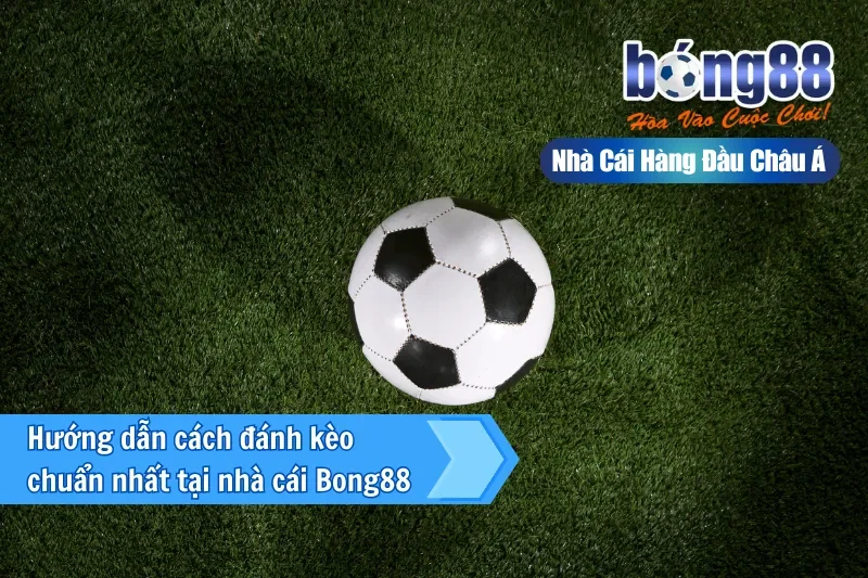 Kèo Giao Bóng Là Gì? Luật Tung Xu Mới & Vai Trò Đúng Của Kèo 50/50 - Wixon Kèo Giao Bóng Là Gì? Luật Tung Xu Mới & Vai Trò Đúng Của Kèo 50/50 - Wixon