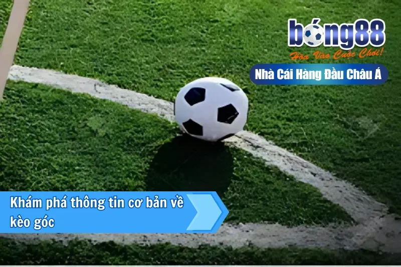 Kèo Góc (Phạt Góc) Là Gì? Cách Chơi, Dữ Liệu Phân Tích & Chiến Thuật Live - Wixon