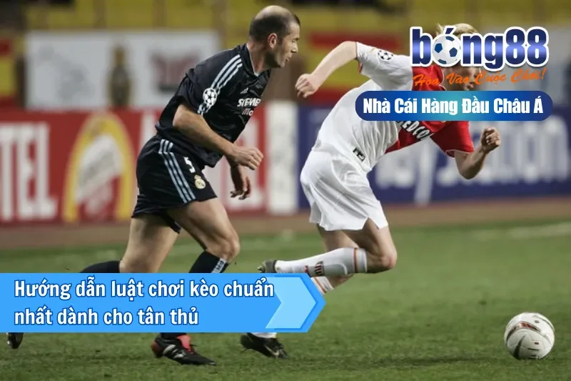 Kèo Lội Ngược Dòng Là Gì? Chiến Thuật Và Nhận Định Live Cùng Bong88 - Wixon Kèo Lội Ngược Dòng Là Gì? Chiến Thuật Và Nhận Định Live Cùng Bong88 - Wixon