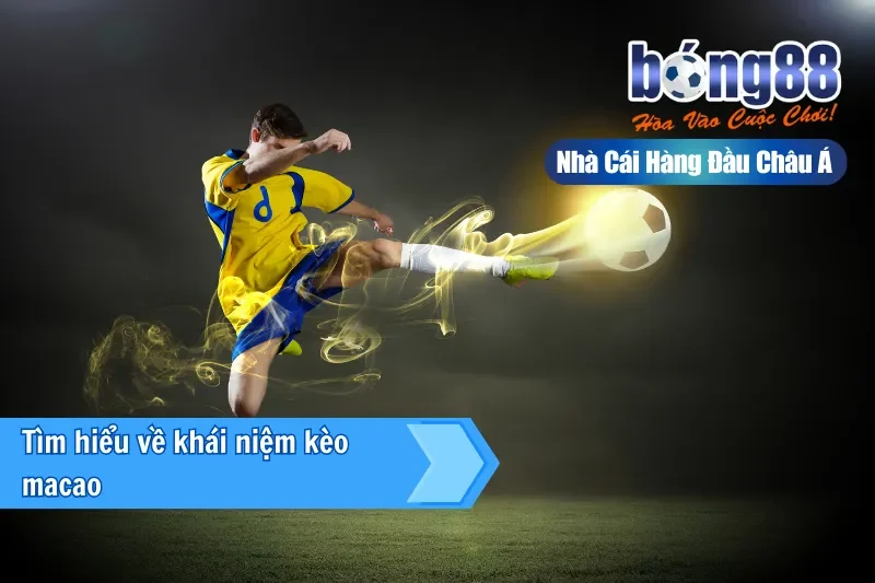 Kèo Macao (Hong Kong) Là Gì? Một Công Thức Đọc Mọi Bảng Kèo Bong88 - Wixon