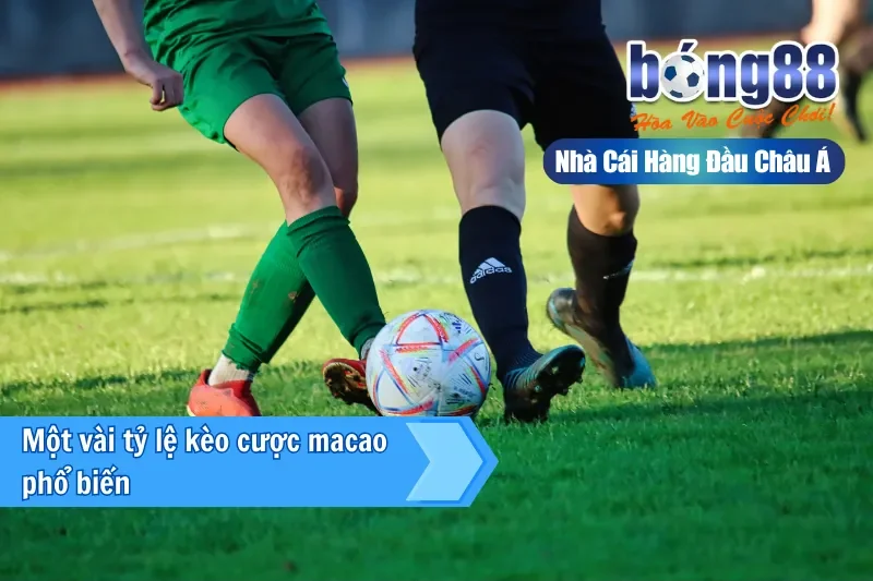 Kèo Macao (Hong Kong) Là Gì? Một Công Thức Đọc Mọi Bảng Kèo Bong88 - Wixon