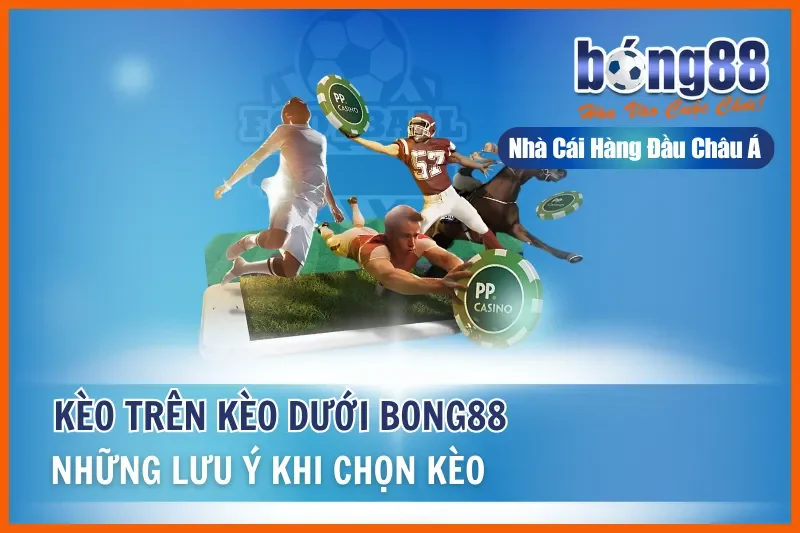 Kèo Trên Kèo Dưới Là Gì? Hiểu Đúng Vị Thế & Khai Thác Giá Trị Cửa Dưới - Wixon Kèo Trên Kèo Dưới Là Gì? Hiểu Đúng Vị Thế & Khai Thác Giá Trị Cửa Dưới - Wixon