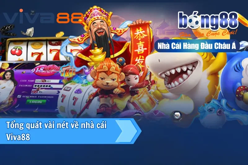 Đại Lý Viva88 — Kênh Bong88 Lâu Năm Nhất, Ủy Quyền Chính Thức Từ 2026 - Wixon Đại Lý Viva88 — Kênh Bong88 Lâu Năm Nhất, Ủy Quyền Chính Thức Từ 2026 - Wixon