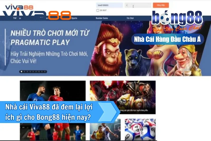 Đại Lý Viva88 — Kênh Bong88 Lâu Năm Nhất, Ủy Quyền Chính Thức Từ 2026 - Wixon Đại Lý Viva88 — Kênh Bong88 Lâu Năm Nhất, Ủy Quyền Chính Thức Từ 2026 - Wixon