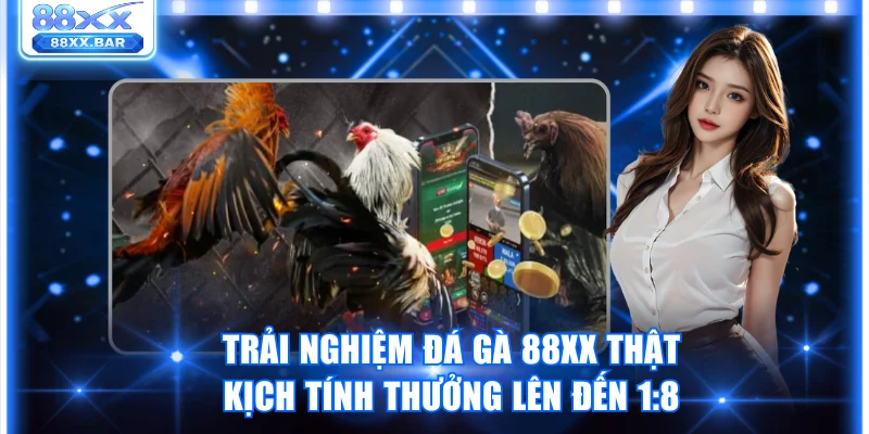 Trải Nghiệm Đá Gà 88XX Thật Kịch Tính Thưởng Lên Đến 1:8 - Wixon