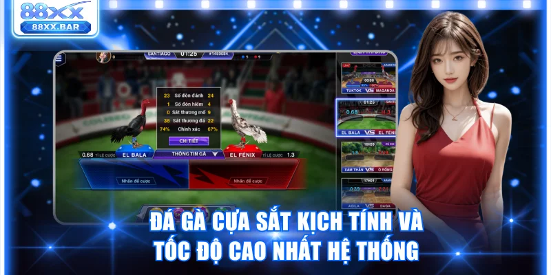 Trải Nghiệm Đá Gà 88XX Thật Kịch Tính Thưởng Lên Đến 1:8 - Wixon