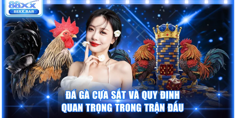 Trải Nghiệm Đá Gà 88XX Thật Kịch Tính Thưởng Lên Đến 1:8 - Wixon