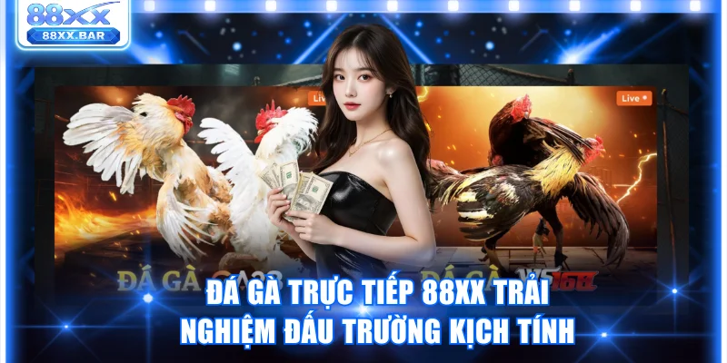 Trải Nghiệm Đá Gà 88XX Thật Kịch Tính Thưởng Lên Đến 1:8 - Wixon