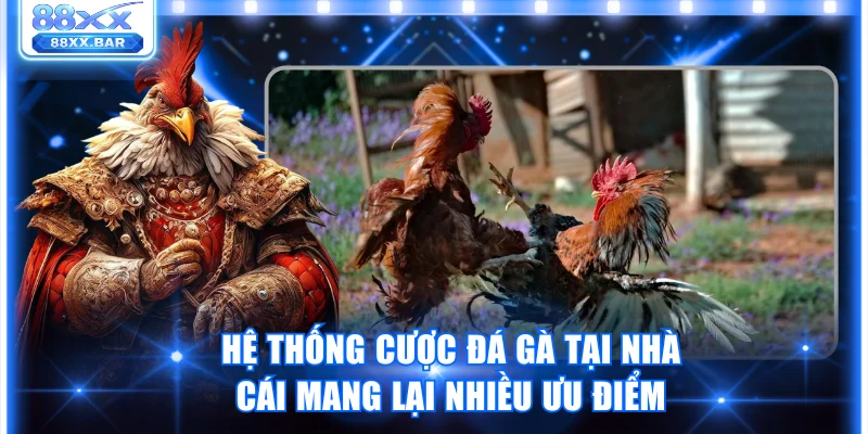 Trải Nghiệm Đá Gà Mỹ Tại 88XX Sân Chơi Cá Cược Đỉnh Cao - Wixon