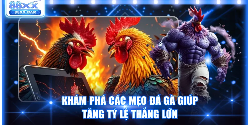 Khám Phá Những Mẹo Đá Gà Cựa Dao Giúp Dự Đoán Chuẩn Xác - Wixon