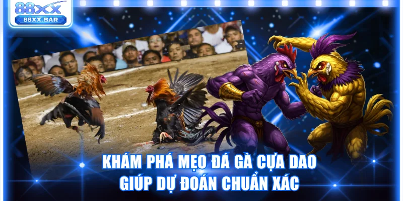 Trải Nghiệm Đá Gà 88XX Thật Kịch Tính Thưởng Lên Đến 1:8 - Wixon