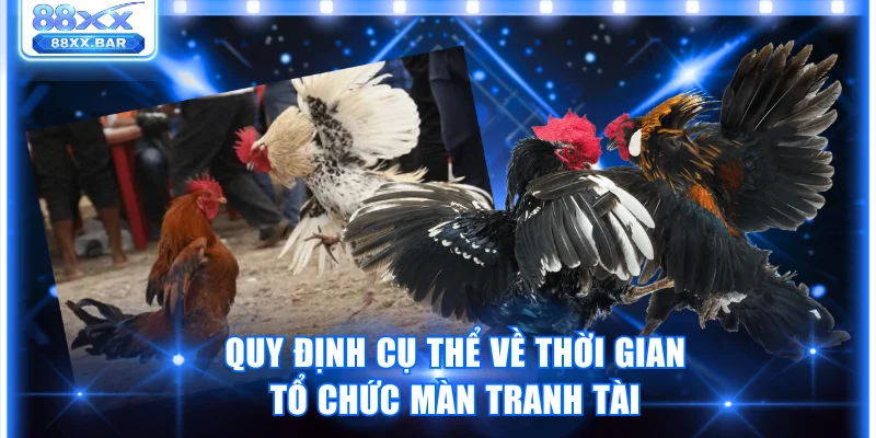 Đá Gà Cựa Sắt Và Những Quy Định Quan Trọng Trong Trận Đấu - Wixon