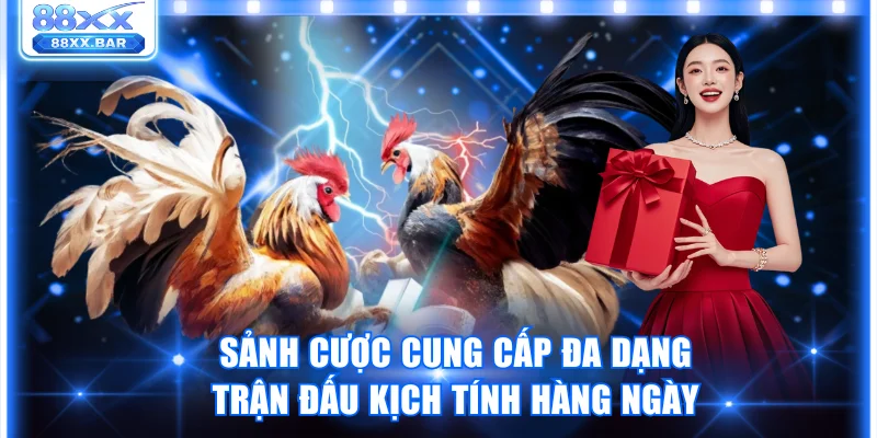 Trải Nghiệm Sảnh SV38 Thế Giới Cá Cược Đá Gà Đỉnh Cao - Wixon