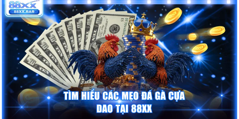 Khám Phá Những Mẹo Đá Gà Cựa Dao Giúp Dự Đoán Chuẩn Xác - Wixon