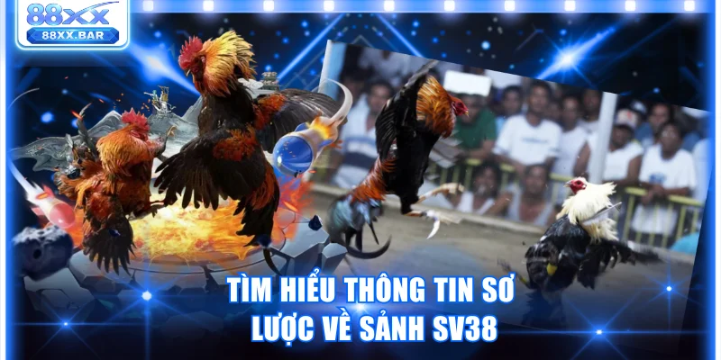 Trải Nghiệm Sảnh SV38 Thế Giới Cá Cược Đá Gà Đỉnh Cao - Wixon