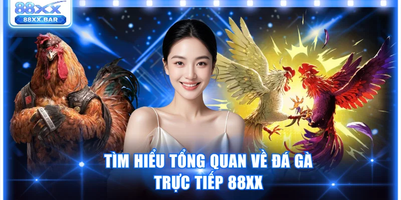 Đá Gà Trực Tiếp 88XX Trải Nghiệm Đấu Trường Kịch Tính - Wixon